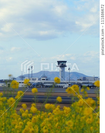 Sanuki Children's Kunisaki Wing rape blossom field [Takamatsu City, Kagawa Prefecture] 3 111886672