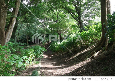 日本鄉間小路山路 日本鄉間小路山路 111886727