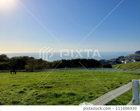 Ranch where the sea is visible 111886930