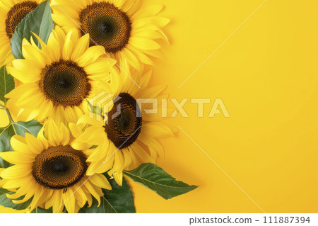 Yellow Sunflower Bouquet on bright Yellow Background. Ai generative 111887394