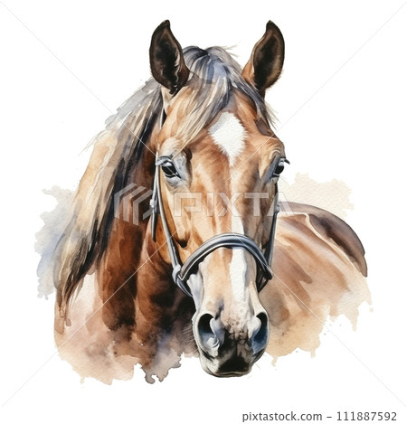 Watercolor Horse Farm Animal Portrait Hand Painted Illustration Watercolor Horse Farm Animal Portrait Hand Painted Illustration 111887592