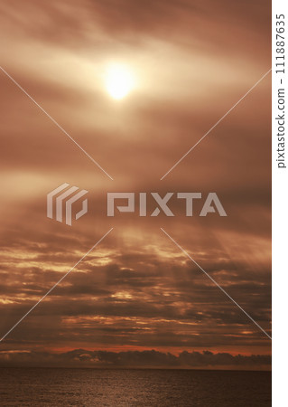 flash of dawn 111887635