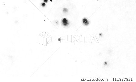 Macro Shot of Black Ink Drops Isolated on White Background 111887831