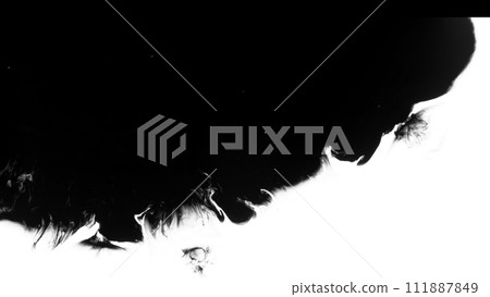 Macro Shot of Black Ink Drops Isolated on White Background 111887849