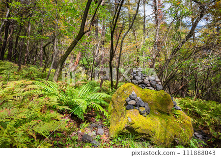 山路上長滿苔蘚的岩石上堆積的石頭【小淺山】 山路上長滿苔蘚的岩石上堆積的石頭【小淺山】 111888043