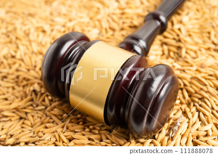 Judge gavel hammer with good grain rice from agriculture farm. Law and justice court concept. 111888078