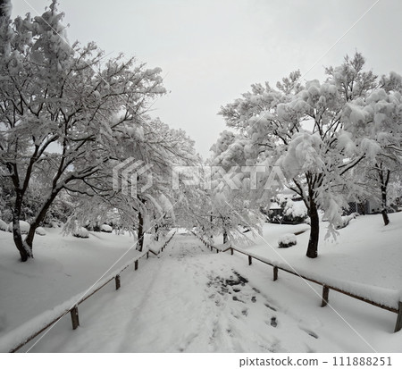 Snow scene at Korinji Temple Snow scene at Korinji Temple 111888251