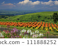 At Higotai Park 111888252