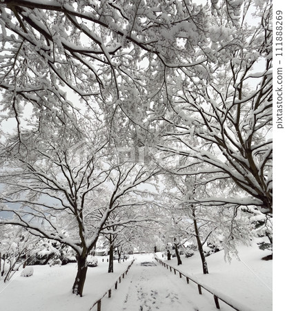 Snow scene at Korinji Temple 111888269