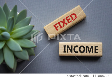 Fixed Income symbol. Concept word Fixed Income on wooden blocks. Beautiful grey background with succulent plant. Business and Fixed Income concept. Copy space Fixed Income symbol. Concept word Fixed Income on wooden blocks. Beautiful grey background with succulent plant. Business and Fixed Income concept. Copy space 111888298