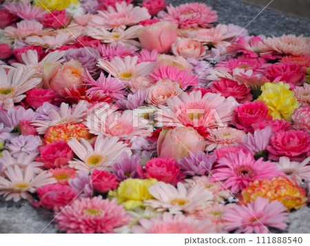 花手洗粉紅花飄花 花手洗粉紅花飄花 111888540