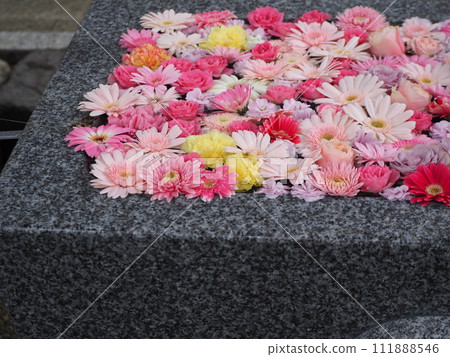 花手洗粉紅花飄花 花手洗粉紅花飄花 111888546