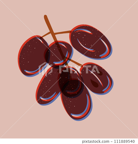 Grapes branch. Risograph imitation with scratches. Risoprint retro style composition. Trendy healthy food concept. 111889540