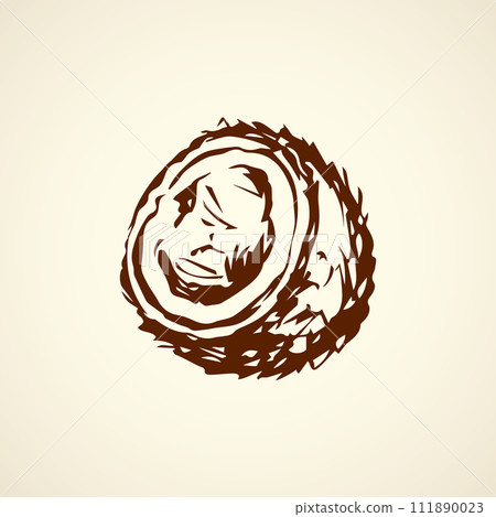 Coconut. Vector drawing Coconut. Vector drawing 111890023