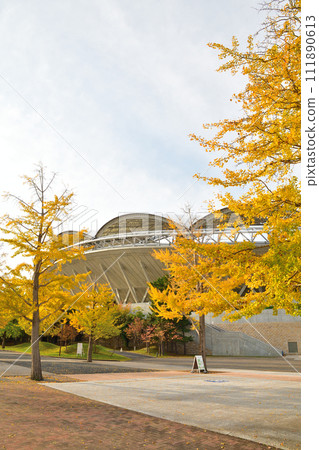 Niigata Stadium in autumn leaves (Niigata Prefecture) 111890613