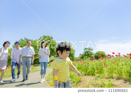 A three-generation family walking through a poppy-filled park 111890881