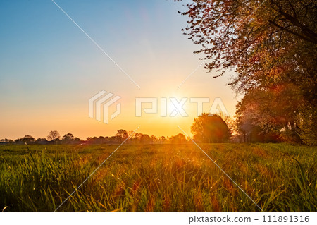 Golden Sunrise Over Lush Green Meadow 111891316