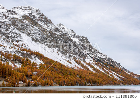 Lake Silsersee in autumn with snowcapped mountains, near St. Moritz in Switzerland 111891800