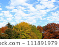 Autumn leaves and blue sky 111891979