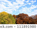 Autumn leaves and blue sky 111891980