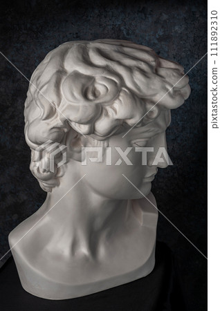Gypsum copy of head statue David for artists on dark background. Replica of face famous sculpture youth of David by Michelangelo. Template design for art, dj, fashion, poster, zine. Renaissance epoch. Gypsum copy of head statue David for artists on dark background. Replica of face famous sculpture youth of David by Michelangelo. Template design for art, dj, fashion, poster, zine. Renaissance epoch. 111892310