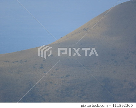 八丈小島大平山山麓 111892360