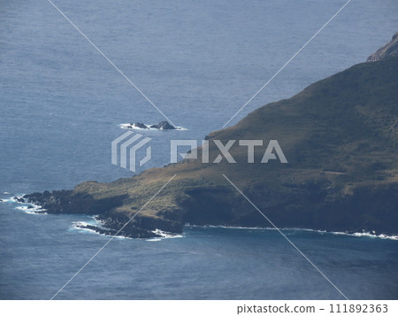 八丈小島大平山山麓 八丈小島大平山山麓 111892363