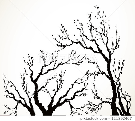 Vector image of mighty tree with bare branches Vector image of mighty tree with bare branches 111892407