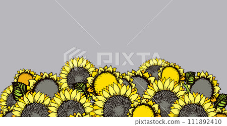 Vector illustration. Sunflowers Vector illustration. Sunflowers 111892410
