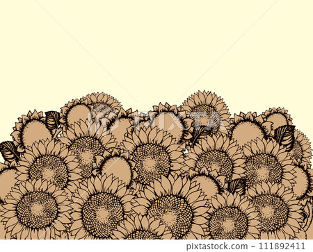 Vector illustration. Sunflowers Vector illustration. Sunflowers 111892411