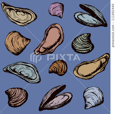 Oyster. Vector drawing 111892440