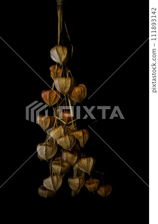 hanging fireflies 111893142