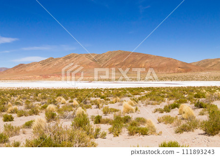 Bolivian mountains landscape,Bolivia 111893243