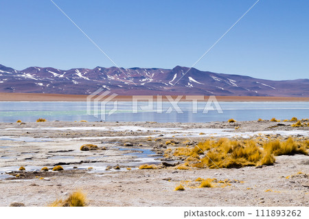 Bolivian lagoon landscape,Bolivia Bolivian lagoon landscape,Bolivia 111893262