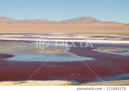 Laguna Colorada view, Bolivia Laguna Colorada view, Bolivia 111893278