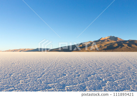 Salar de Uyuni,Cerro Tunupa view 111893421