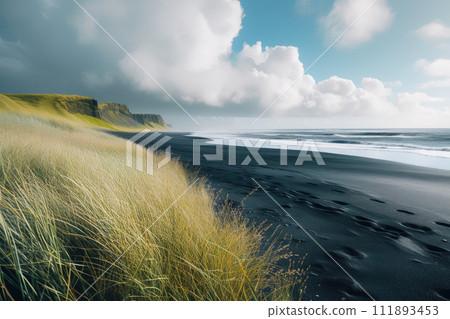Nature's Palette: Icelandic Shorelines in Sunshine 111893453
