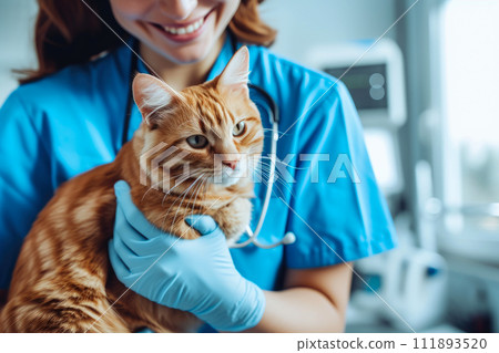 Compassionate Vet Nurturing Feline Patient Compassionate Vet Nurturing Feline Patient 111893520