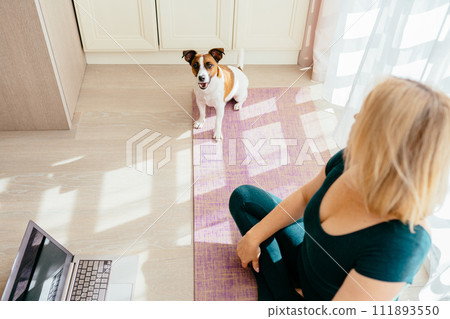 Cheerful blond woman practicing yoga at home online from laptops by video chatting on the carpet and yoga mate with her dog nearby, sports and mental health. 111893550