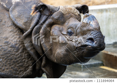 印度戒指 111894064