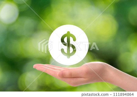 image of dollar 111894864