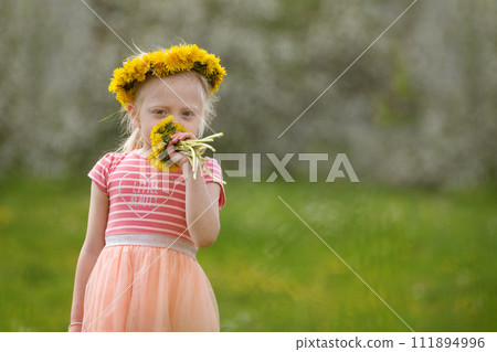 Blonde girl wears pink dress and dandelion wreath and sniffs bouquet of flowers. Blurred background. Blonde girl wears pink dress and dandelion wreath and sniffs bouquet of flowers. Blurred background. 111894996
