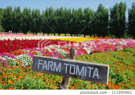  富田農場 111895062