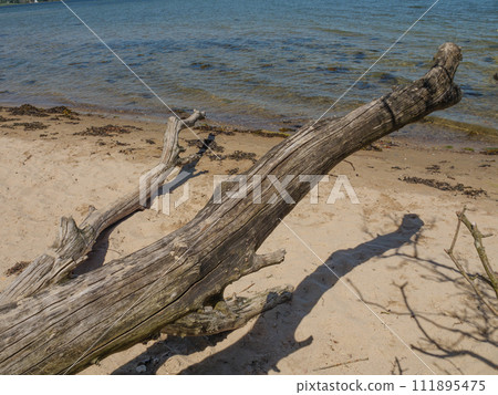 hiking at the baltic sea near Flensburg hiking at the baltic sea near Flensburg 111895475