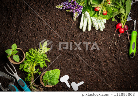 Garden tools and plants Garden tools and plants 111895808