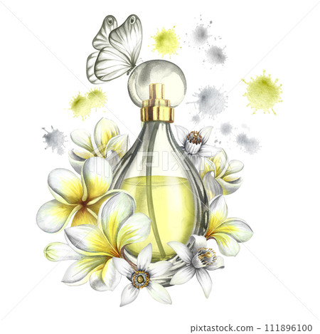 A perfume bottle made of transparent glass with plumeria, frangipani and orange blossom flowers. Vintage yellow perfume with a butterfly. Hand-drawn watercolor illustration. For packaging, postcards. A perfume bottle made of transparent glass with plumeria, frangipani and orange blossom flowers. Vintage yellow perfume with a butterfly. Hand-drawn watercolor illustration. For packaging, postcards. 111896100