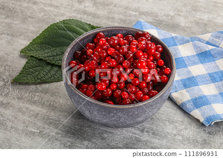 Ripe sweet wild organic cowberry 111896931