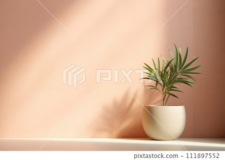 Minimalist abstract delicate peach fuzz color wall background with a plant on the floor in sunlight Minimalist abstract delicate peach fuzz color wall background with a plant on the floor in sunlight 111897552