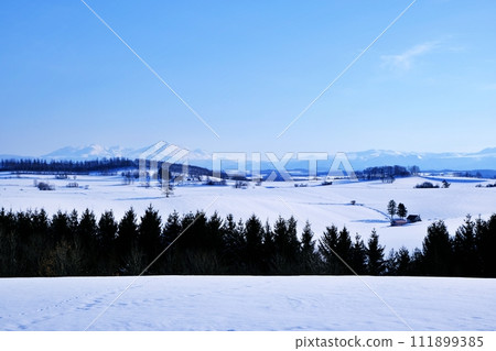 Spectacular view from Shinei Hill in Biei, Hokkaido in winter Spectacular view from Shinei Hill in Biei, Hokkaido in winter 111899385