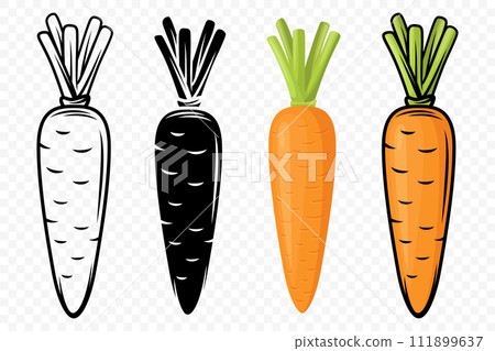 Flat Vector Carrot Icon Set Closeup Isolated. Fresh Black and White and Color Carrots. Healthy Concept, Vegetable Illustration for Culinary Design, Clipart 111899637